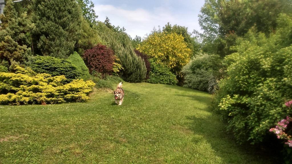 Apartmany Blata Buitenkant foto